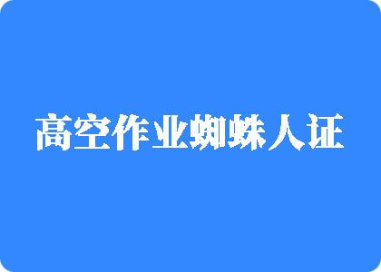 男人把jj放进女人的逼里捅高空作业蜘蛛人证